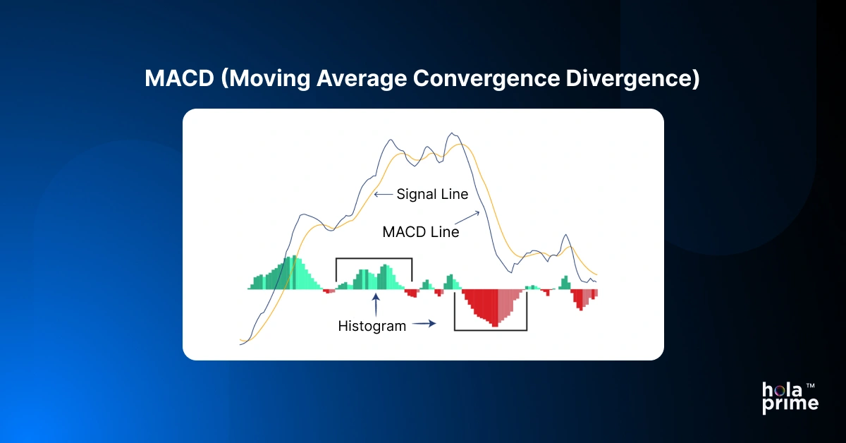 Infographic with a chart of the MACD (Moving Averages Convergence Divergence)